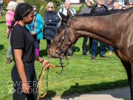 NH220326-34 - Thewoodcorner